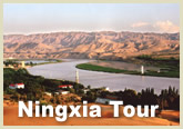 Ningxia Tour
